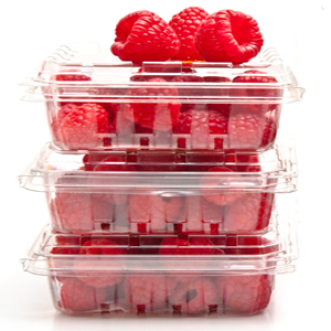 Plastic Food Packaging